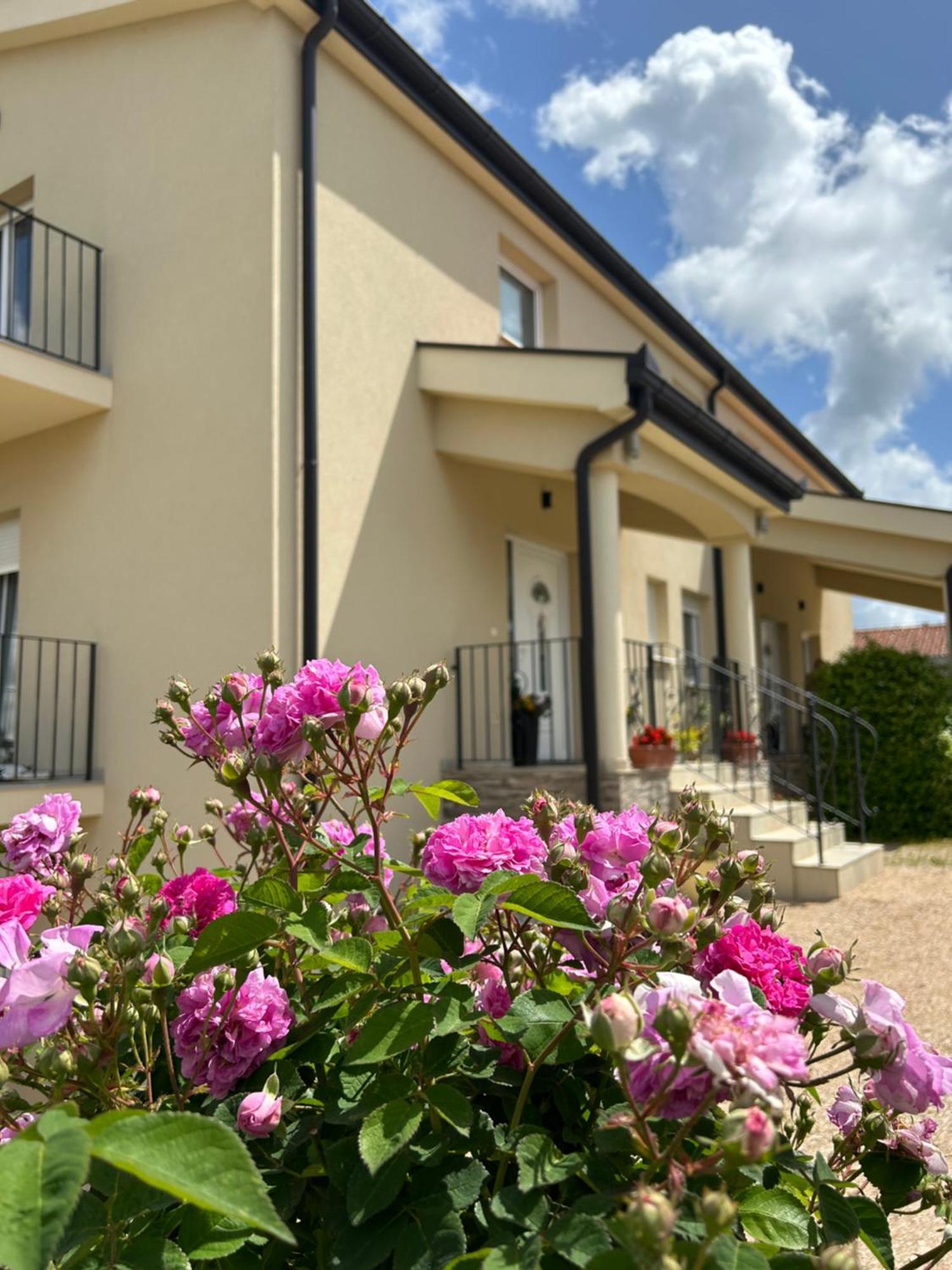 Apartman Marija Medjugorje Luaran gambar